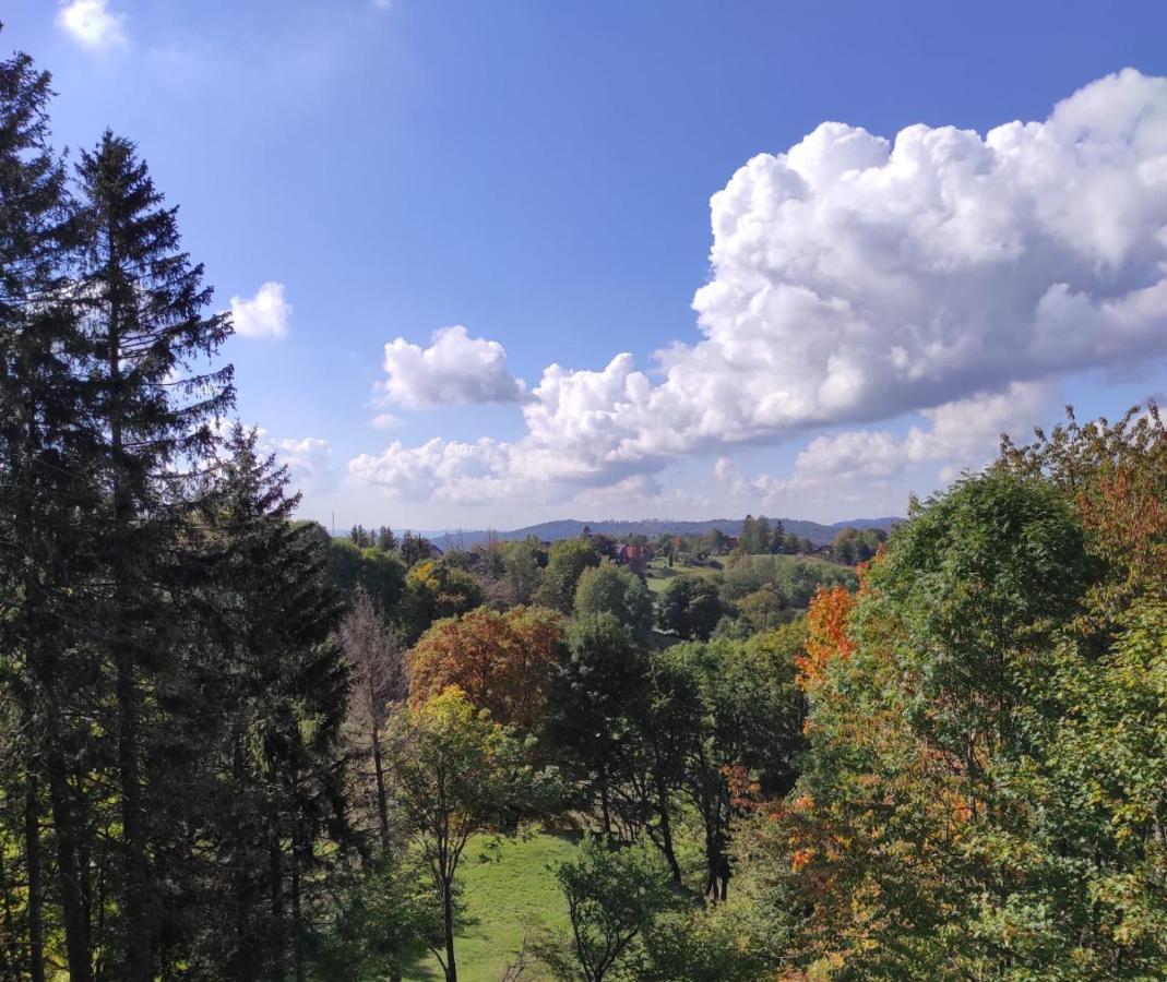 Fewo Harzer Weitblick, Hunde Willkommen, W-Lan, 2X Smart Tv, Dtv 4 Sterne, 4 Pfoten Braunlage Bagian luar foto