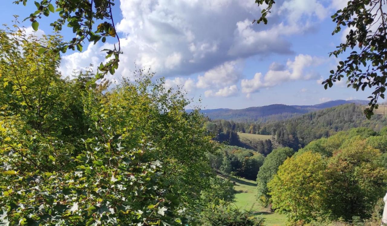 Fewo Harzer Weitblick, Hunde Willkommen, W-Lan, 2X Smart Tv, Dtv 4 Sterne, 4 Pfoten Braunlage Bagian luar foto