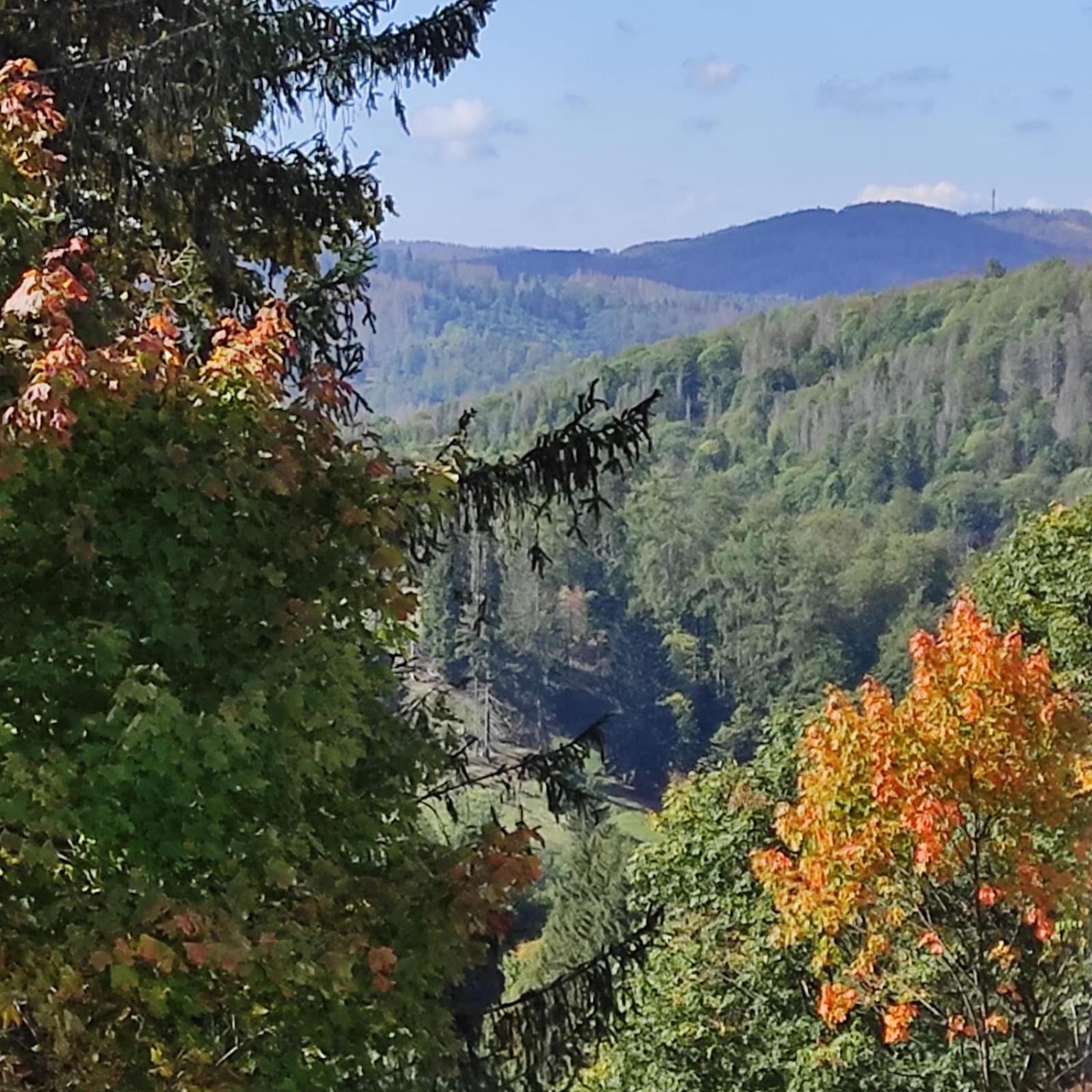 Fewo Harzer Weitblick, Hunde Willkommen, W-Lan, 2X Smart Tv, Dtv 4 Sterne, 4 Pfoten Braunlage Bagian luar foto