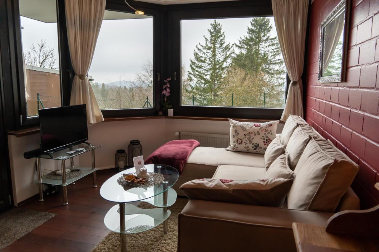 Fewo Harzer Weitblick, Hunde Willkommen, W-Lan, 2X Smart Tv, Dtv 4 Sterne, 4 Pfoten Braunlage Bagian luar foto
