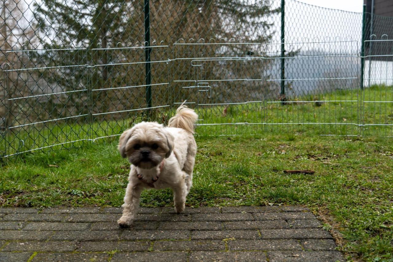 Fewo Harzer Weitblick, Hunde Willkommen, W-Lan, 2X Smart Tv, Dtv 4 Sterne, 4 Pfoten Braunlage Bagian luar foto