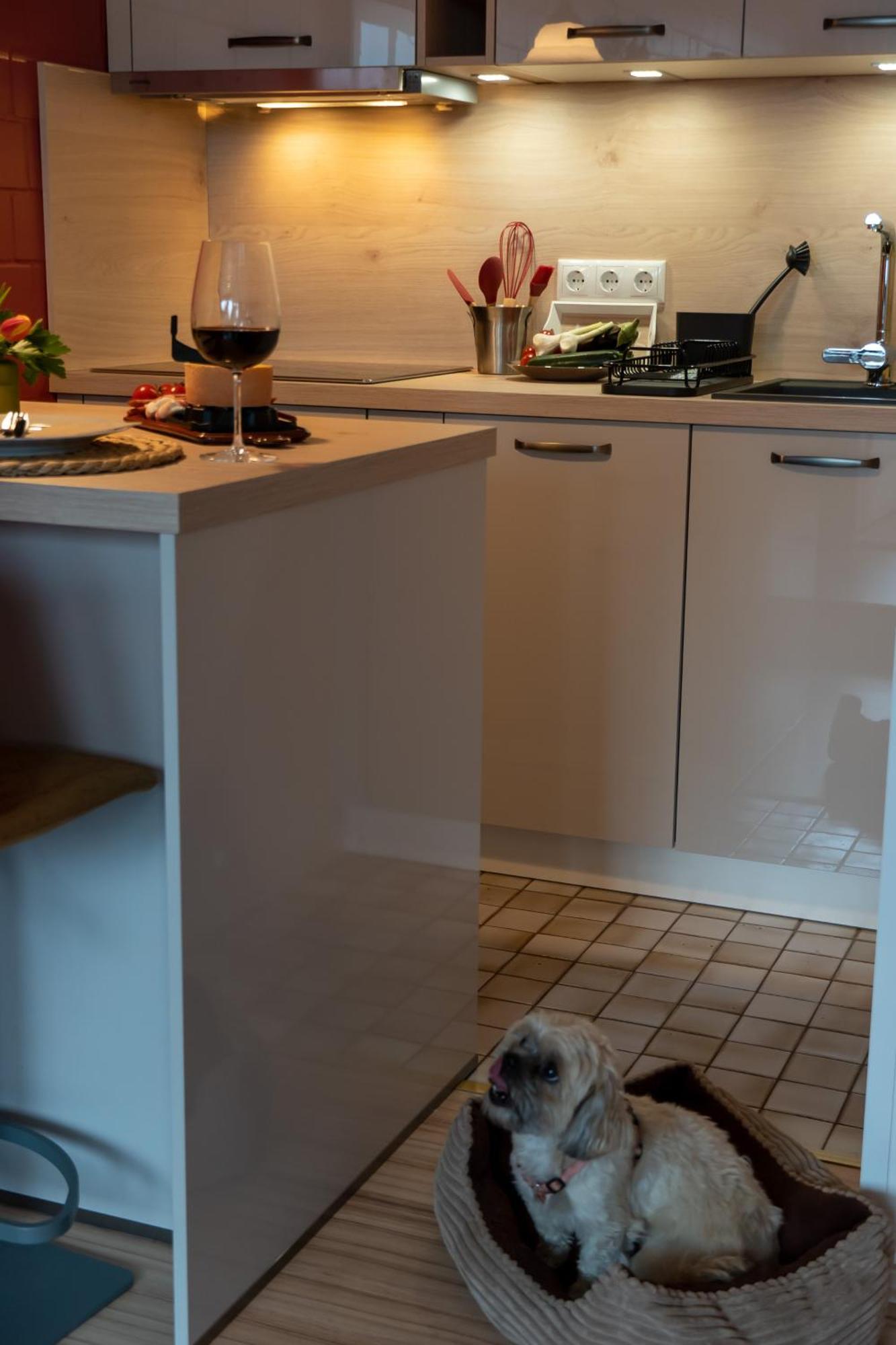 Fewo Harzer Weitblick, Hunde Willkommen, W-Lan, 2X Smart Tv, Dtv 4 Sterne, 4 Pfoten Braunlage Bagian luar foto