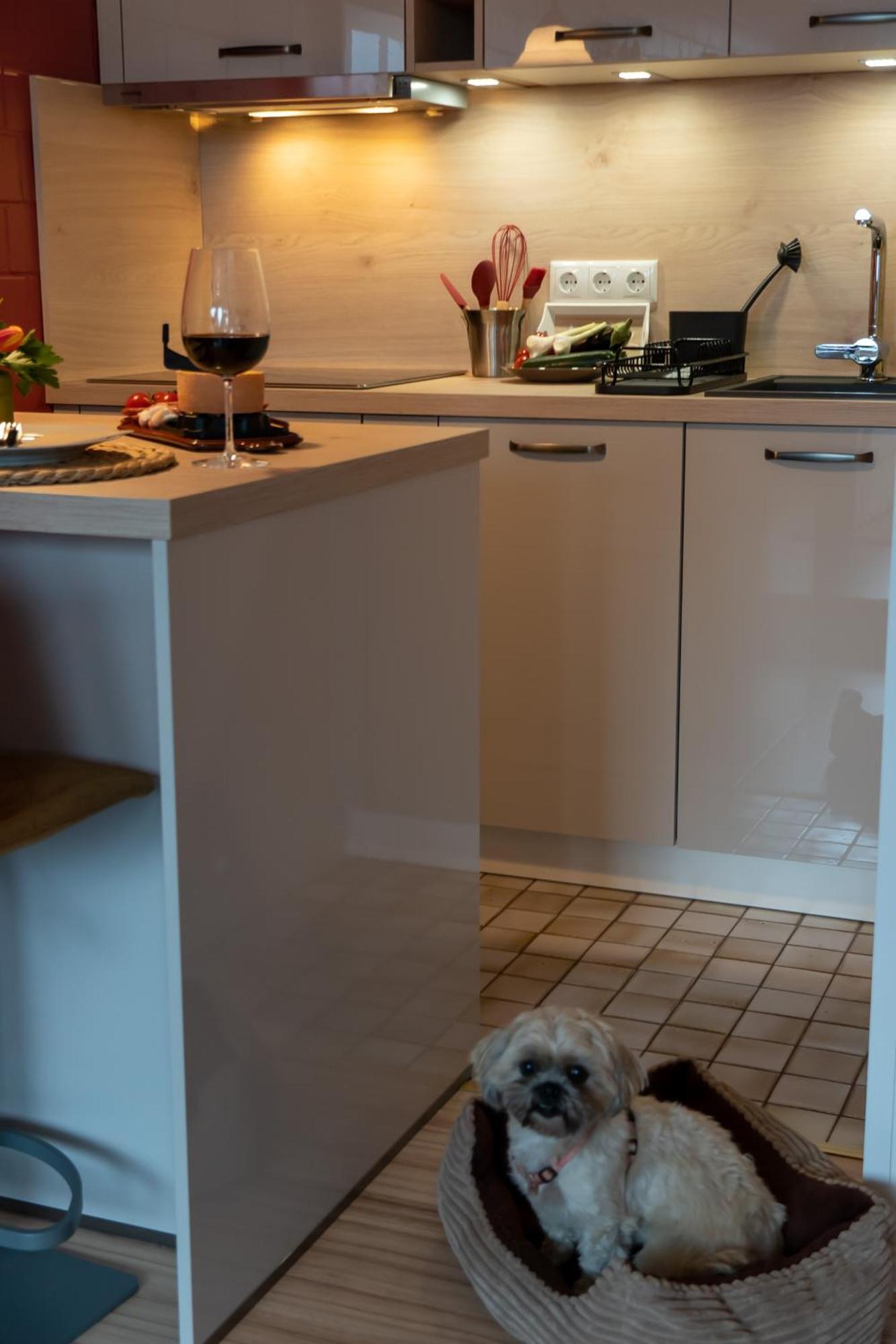 Fewo Harzer Weitblick, Hunde Willkommen, W-Lan, 2X Smart Tv, Dtv 4 Sterne, 4 Pfoten Braunlage Bagian luar foto