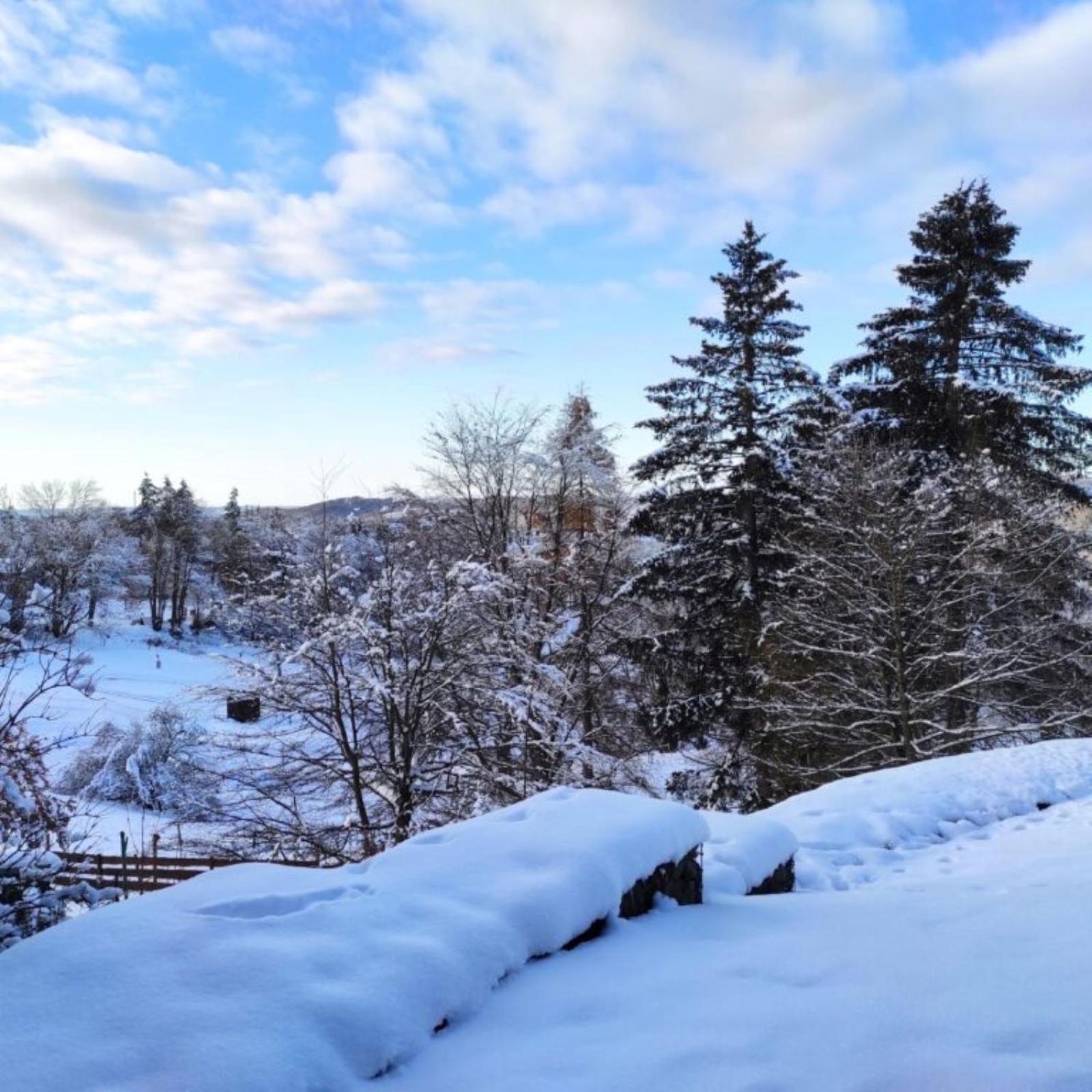 Fewo Harzer Weitblick, Hunde Willkommen, W-Lan, 2X Smart Tv, Dtv 4 Sterne, 4 Pfoten Braunlage Bagian luar foto